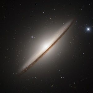 Meet your Posher, Gardner